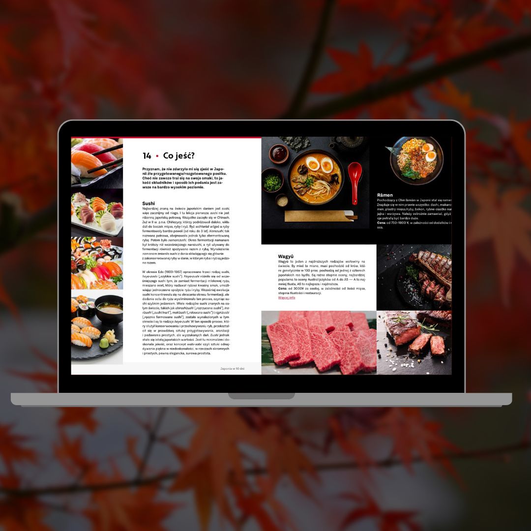 Japonia - plan podróży 10 dni, wycieczki na własną rękę e-book (6)