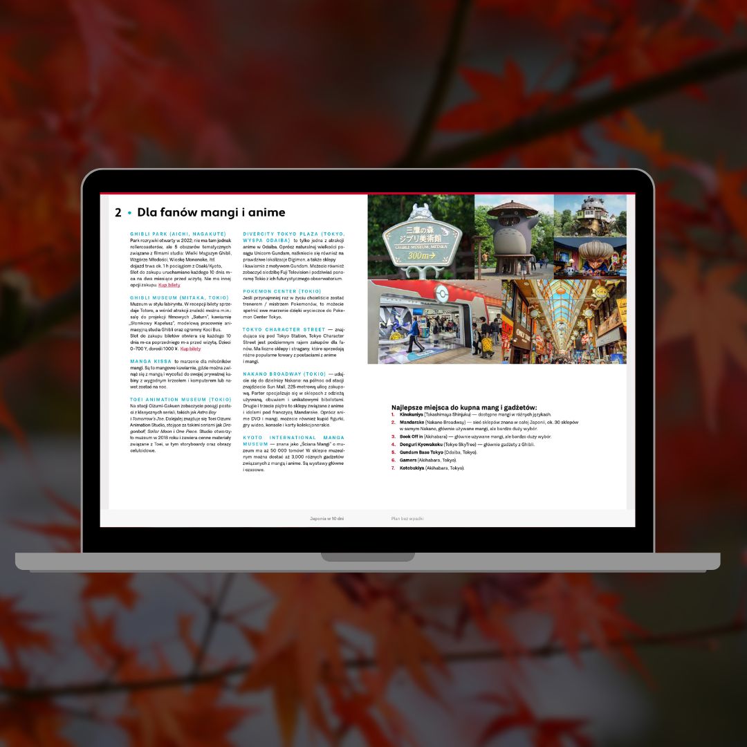 Japonia - plan podróży 10 dni, wycieczki na własną rękę e-book (8)